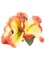 Orange And Yellow Luau Hawaiian Flower Hibiscus Costume Accessory Hair Clips